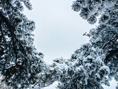 -终南山南五台景区