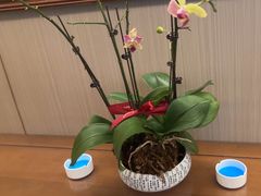 -一江水食府(后湖店)