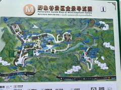-野象谷景区