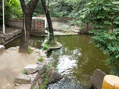 -封龙山风景区