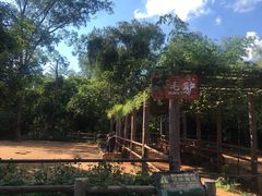 -海南热带野生动植物园