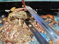 -苏格里岛自助海鲜烤肉火锅(集美万达店)