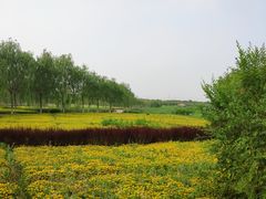 -西青郊野公园