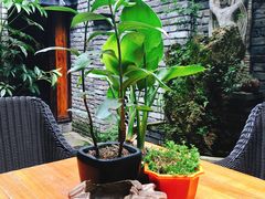 -鱼桥巷·美学川菜