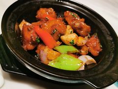 金不换三杯鸡-大树餐厅(益田假日店)