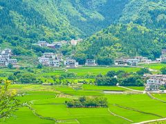 -万峰林风景区
