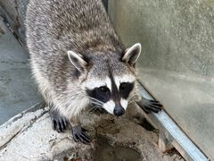 -水上乐园·欢乐世界