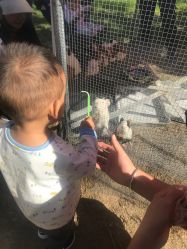 -萌宠亲子动物乐园(槐房万达店)