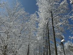 -莫干山风景区