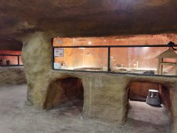 -酷嗒动物文化乐园(cutezoo西溪乐天城店)