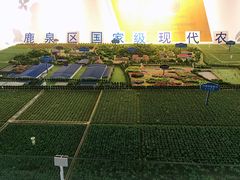 -君乐宝优致牧场