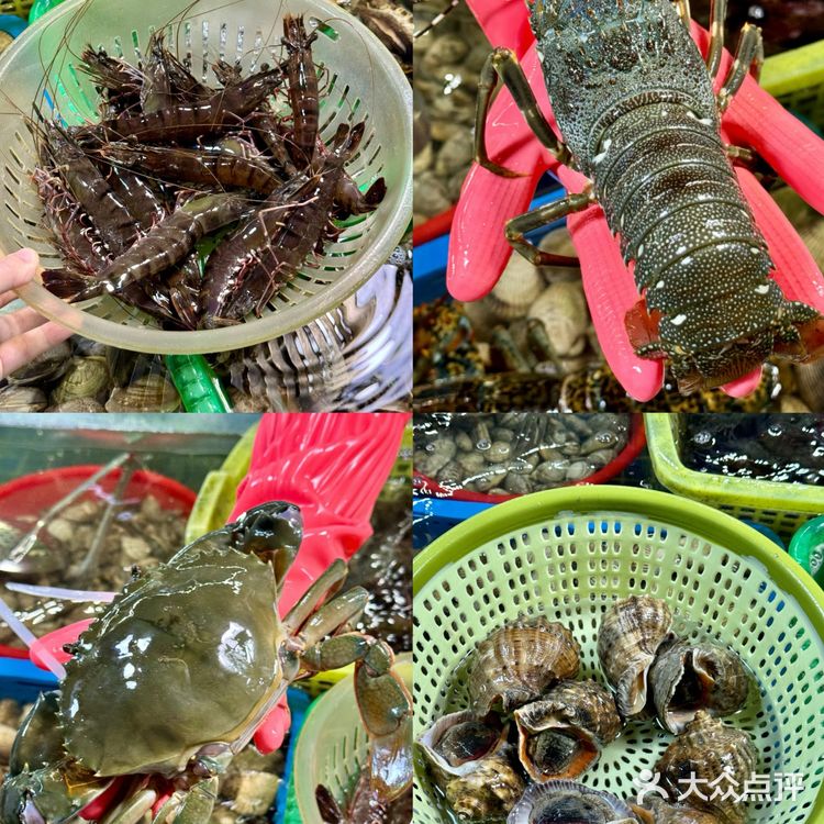 小青龙，大螃蟹，生蚝，鲍鱼，海螺！这一堆才花了三百多