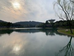-上海佘山世茂艾美酒店