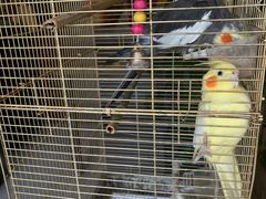 -潇湘·永州会馆(百子湾店)