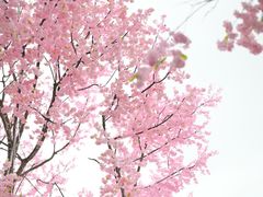 -首开·龙湖成都西宸天街