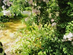 -鹅湖玫瑰文化园
