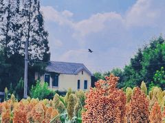 -火塘云南烧烤大排档