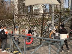 -一只烧鸡公(解放碑店)