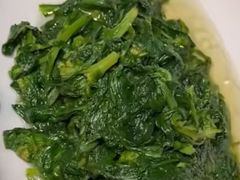 -老绍兴养和饭店(向阳不夜城店)