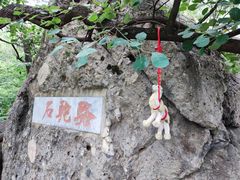 -阳台山自然风景区