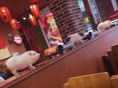-猪角·闽南猪脚饭(福清1店)