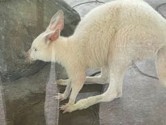 -宁波野生动物园