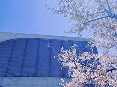 -龙美术馆(西岸馆)