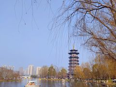 -洋湖国家湿地公园