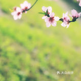 如果实施弹性工作制，我大约每天能够提早45分钟下班