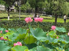 -沐仙湖湿地公园
