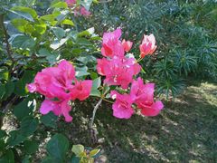 -朝阳公园游乐园