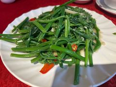 老友炒佛手瓜苗-粤北餐馆