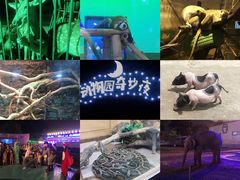 -无锡动物园·太湖欢乐园