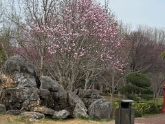 -洛阳市隋唐城遗址植物园