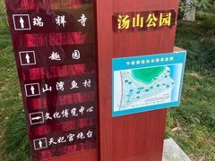 -汤山公园
