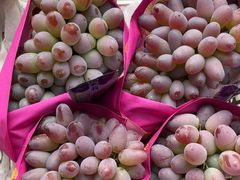 -马陆小张葡萄园农家乐