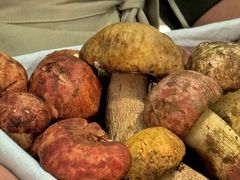 -蘑界·野生菌火锅(深业上城店)