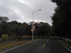 -松山湖梦幻百花洲