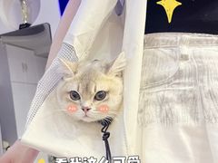 -思琪宠物医院(昆山花桥店)