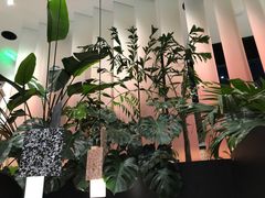 -渔芙南(三里屯店)