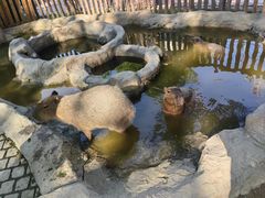 -上海野生动物园