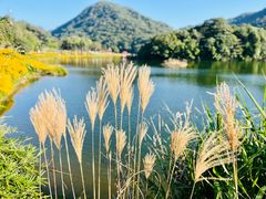 -广州市石门国家森林公园