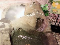 -长白山聚龙火山温泉