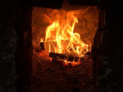 -南汇老顾农家乐采摘大团水蜜桃采摘店