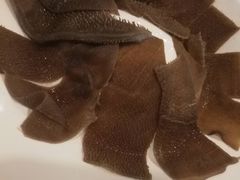 毛肚-东椰·海南椰子鸡火锅(朝阳门店)