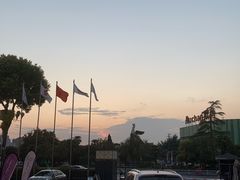 -水中仙东雅国际酒店(丹阳店)
