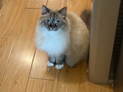 -剧狐剧本杀·月球探案馆(人民广场1号店)