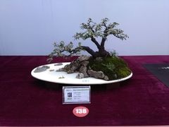 -重庆市江北嘴中央商务区中央公园