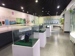 -中国第四纪冰川遗迹陈列馆