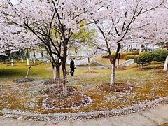 -江南大学(蠡湖校区)